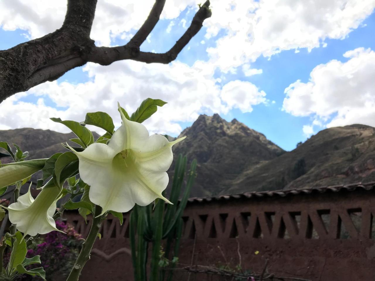 Pisac Inca Guest House Buitenkant foto